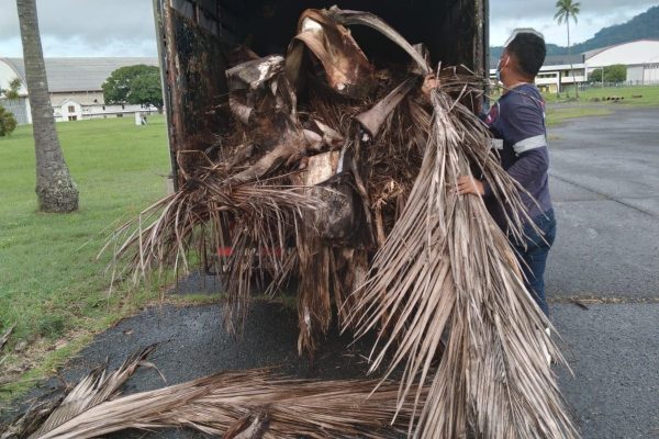 FORCE-Areas Verdes-10