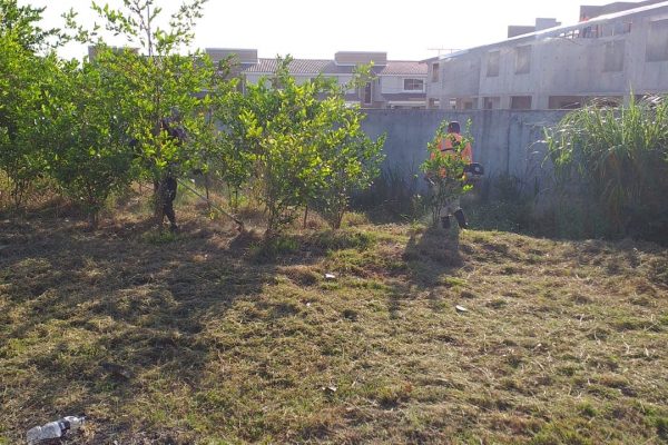 FORCE-Areas Verdes-11