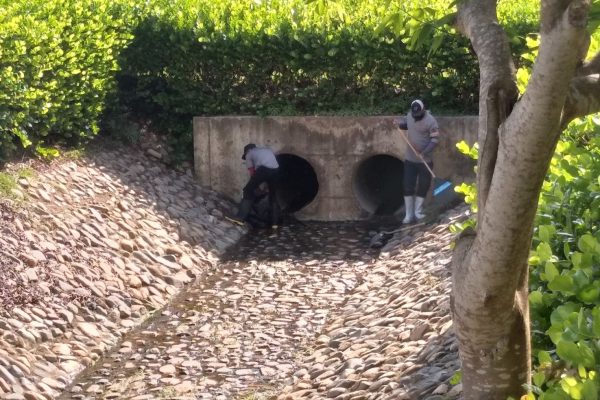 FORCE-Areas Verdes-12