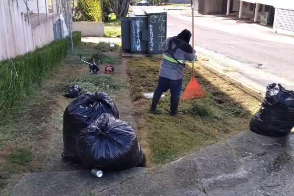 FORCE-Areas Verdes-14