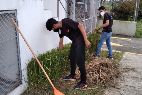 FORCE-Areas Verdes-15