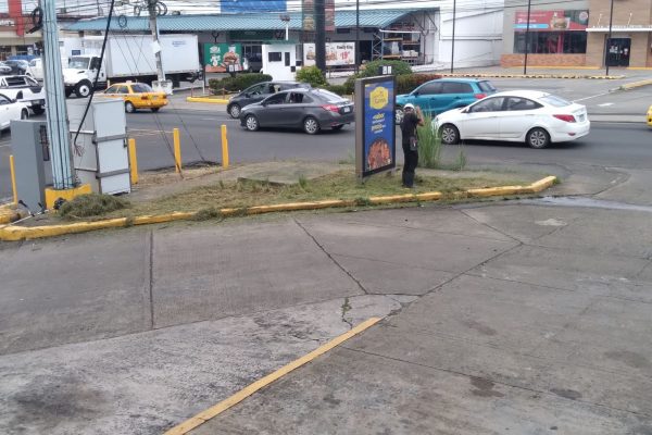 FORCE-Areas Verdes-16