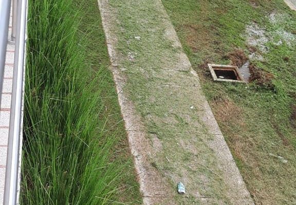 FORCE-Areas Verdes-17