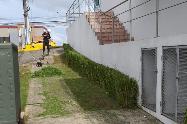 FORCE-Areas Verdes-20