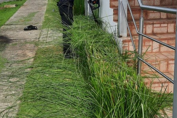 FORCE-Areas Verdes-21