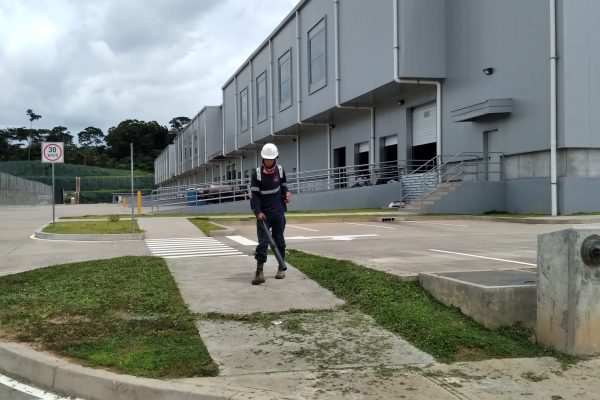 FORCE-Areas Verdes-6