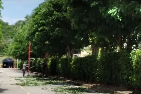 FORCE-Areas Verdes-8