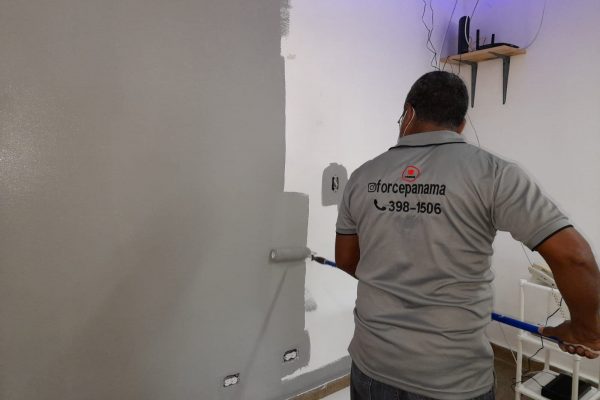 Gypsum y pintura-foto 2